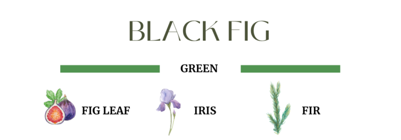 АРОМАТНА СВЕЩ ПРИРОДА